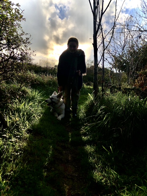 Silhouette of a girl and a dog walking together on a grassy path.