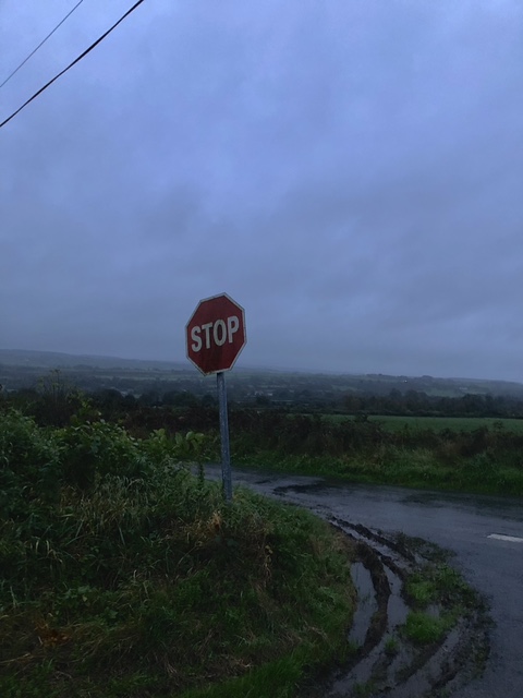 A stop sign by a country road